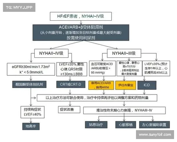 腰部组织在人体健康中的重要性与现代医学研究的进展分析 腰部组织在人体健康中的重要性与现代医学研究的进展分析