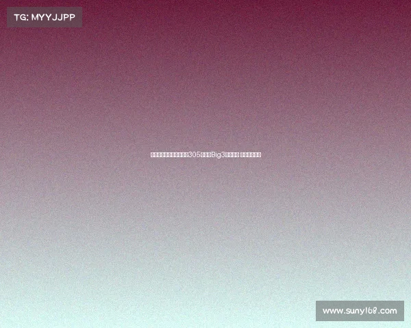 查尔莫斯绝杀助力迈阿密305队夺得Big3联赛冠军 荣获百万奖金